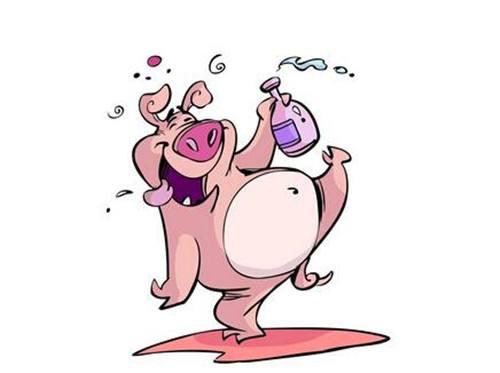 七一年属什么生肖，最新解释与落实