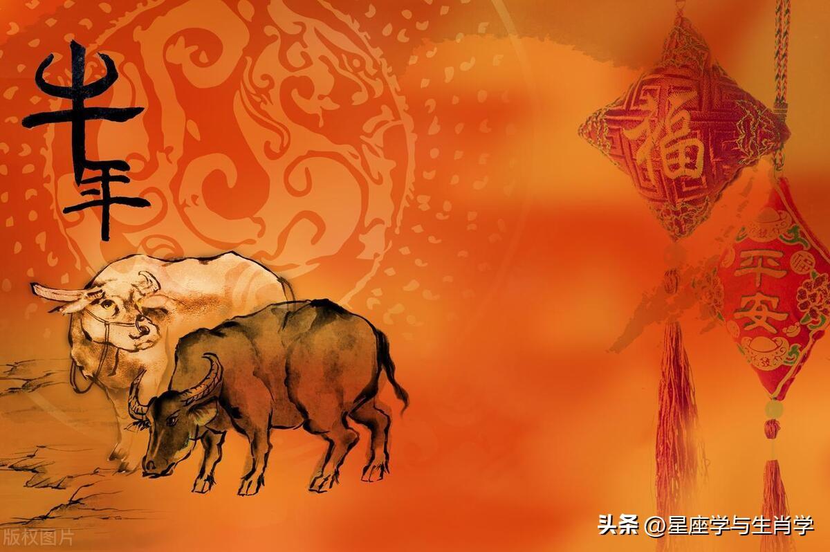 霜降与生肖的神秘联系，揭秘如何选择并落实正确的生肖策略