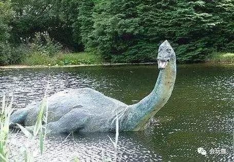 揭秘说长道短的神秘动物，从传统谜语到新型作答的深度解析