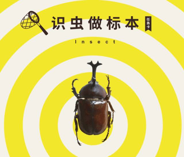 五谷不分是什么生肖,经典解释作答落实 五谷不分是什么生肖,经典解释作答落实