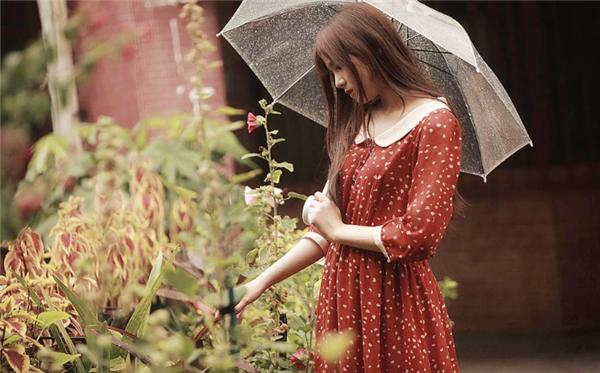 小心翼翼的生肖,精选解析与落实的详细结果 小心翼翼的生肖,精选解析与落实的详细结果