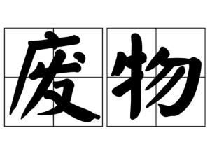 暴殄天物是什么生肖，真相解释落实