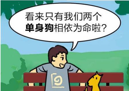 单身汉是什么生肖，谜底即将揭晓