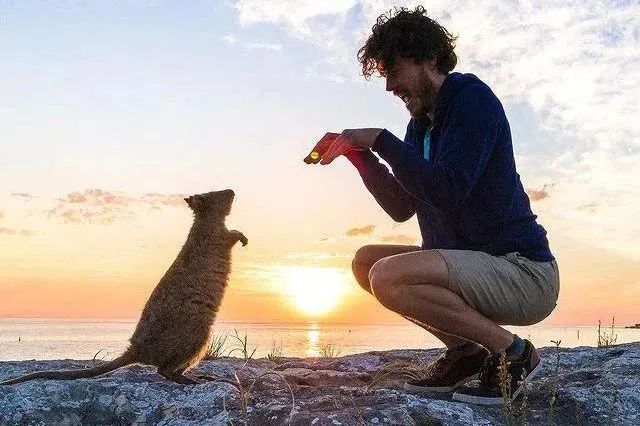 揭秘手足相连之谜，探寻背后的真相与动物真相