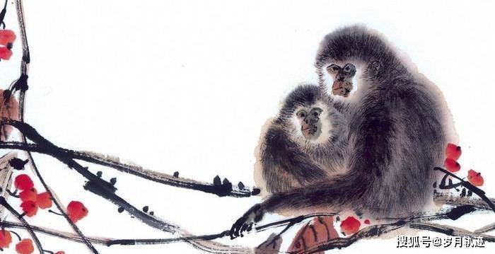 自鸣得意的生肖，正确解释与落实