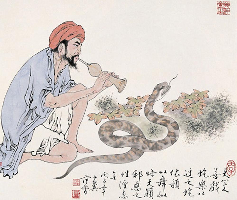 羊后面是什么生肖，一场关于生肖顺序的趣味探索