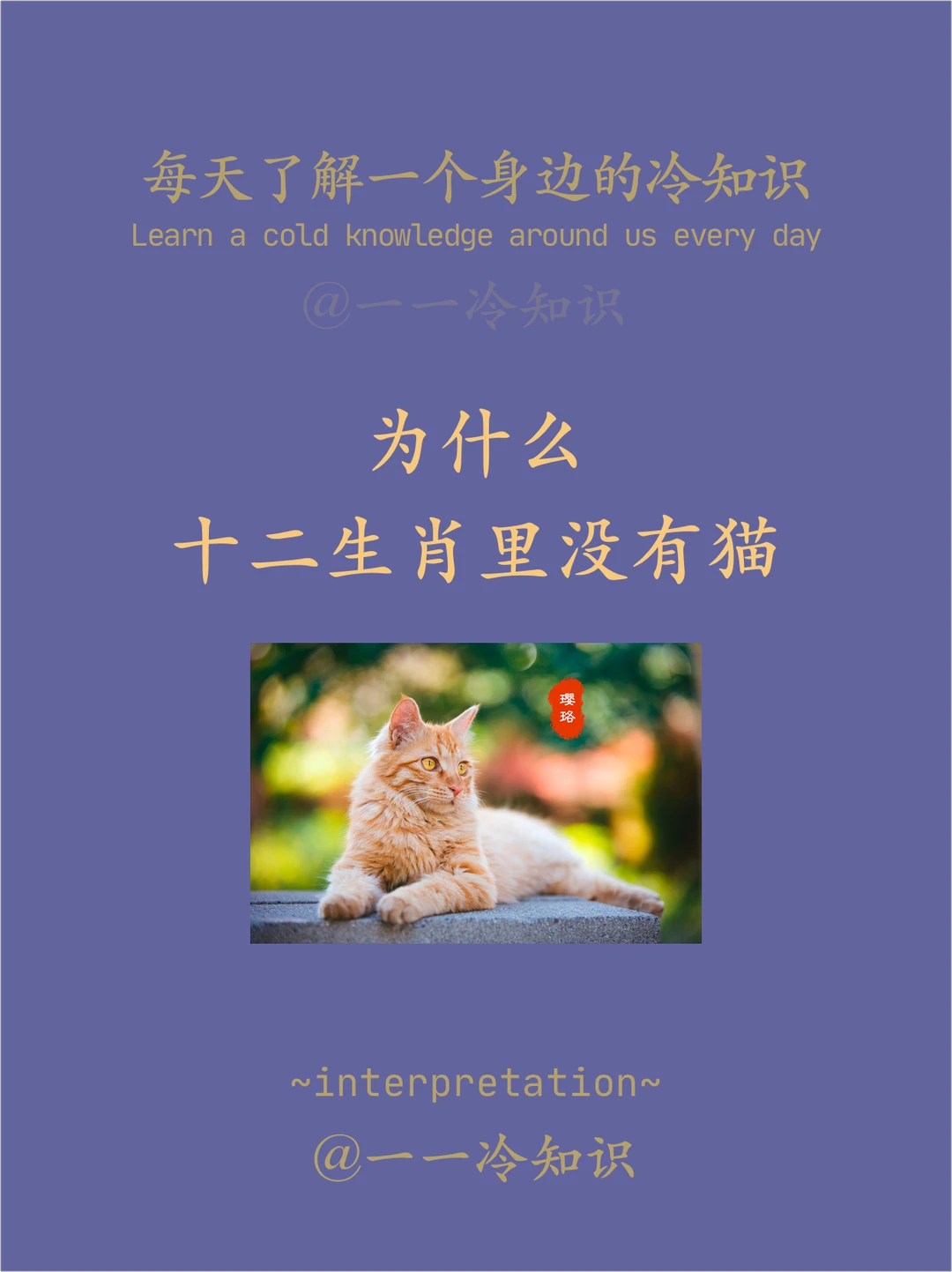 十二生肖为什么没有猫，新型作答落实解释