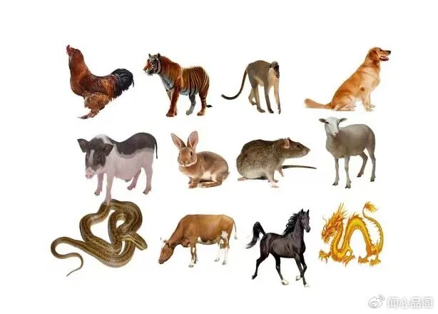 九死一生的生肖动物，鼠的坚韧与智慧