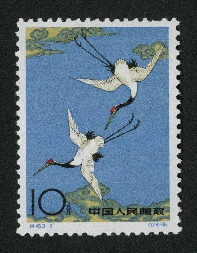 揭秘来踪去迹背后的生肖玄机，积极解释与落实的智慧