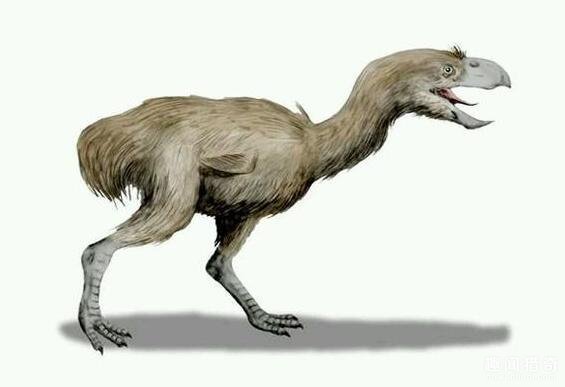 奔腾与澎湃，探寻龙这一动物背后的哲理