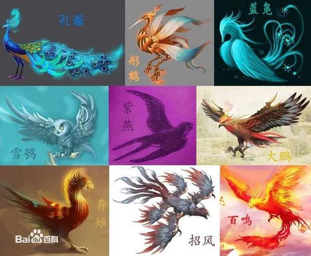 谜语探秘,一龙独飞上九天猜一生肖 谜语探秘,一龙独飞上九天猜一生肖