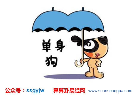 单身汉是什么生肖，谜底即将揭晓