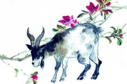 行善积德的生肖，揭秘如何选择并落实正确的