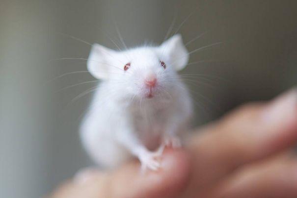 七上八下，解密生肖之谜