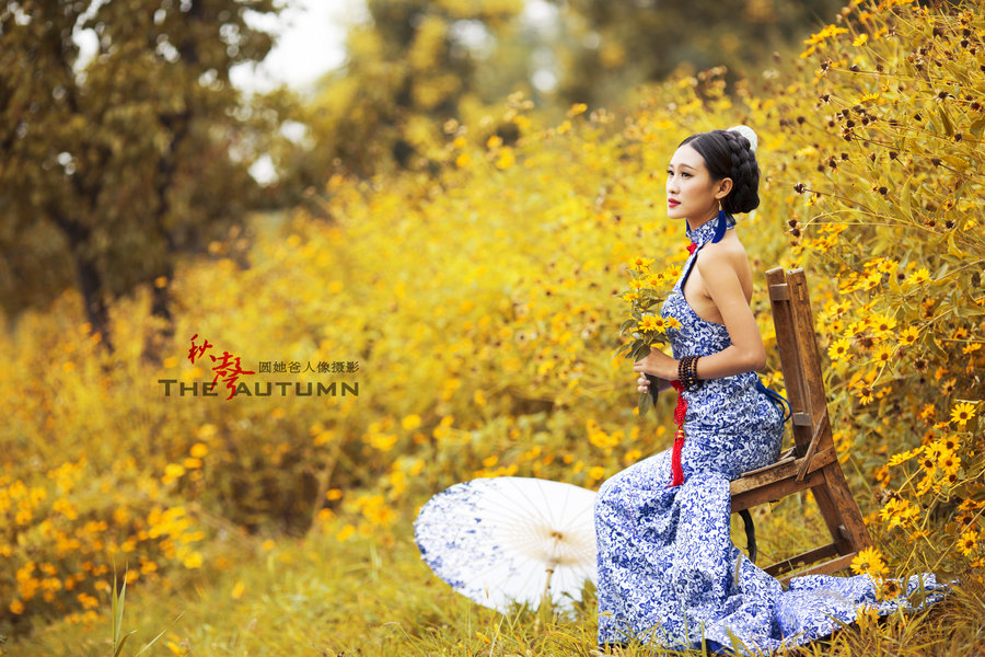 秋声八月，谜中寻趣—揭秘九猜之谜的动物世界