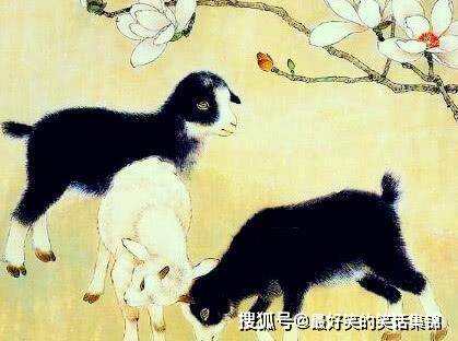 揭秘后起之秀与生肖的奇妙联系，探寻属相中的潜力股