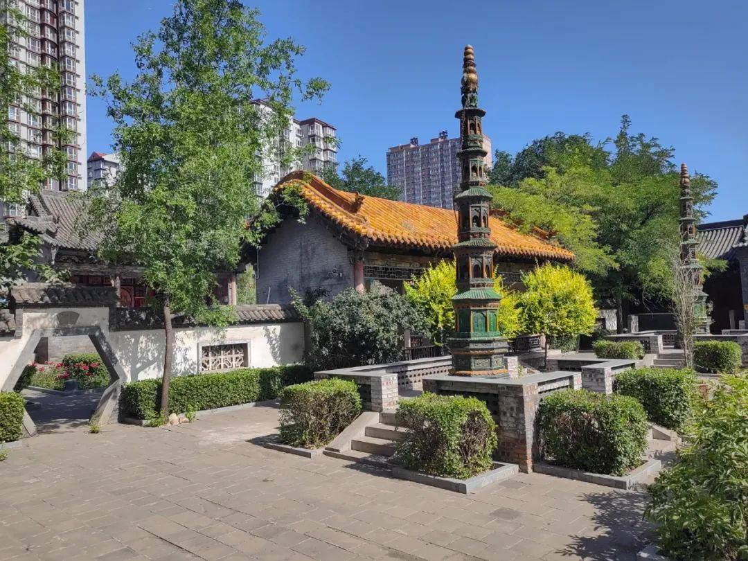 七嘴八舌话生肖，探寻背后的文化与智慧