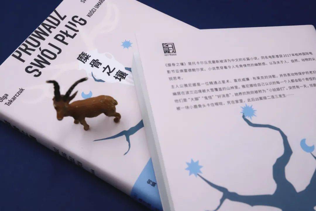 探秘采花大盗之谜，揭秘背后的动物寓言