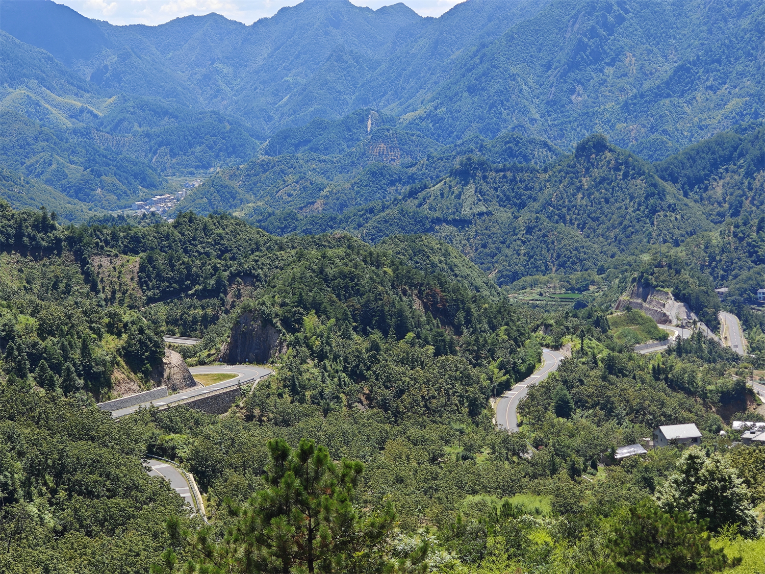 九沟八弯合两家，生肖之谜的深度解析