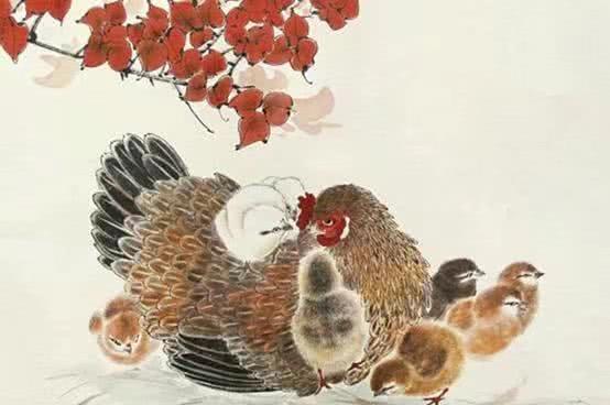 鸡的贵人是什么生肖，社会进步与文化解析