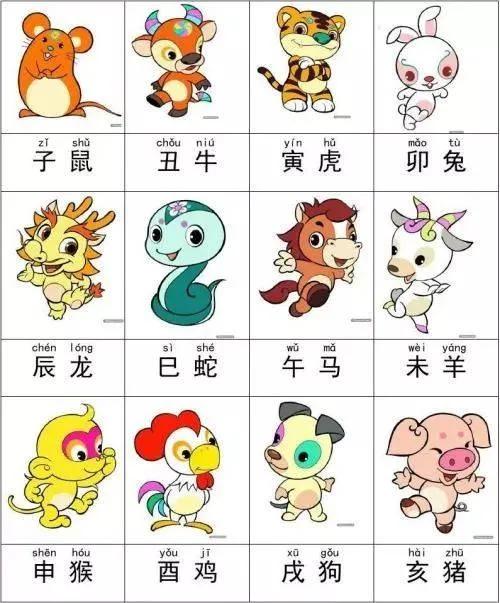 最富有的生肖是什么，的动物智慧与战略运用