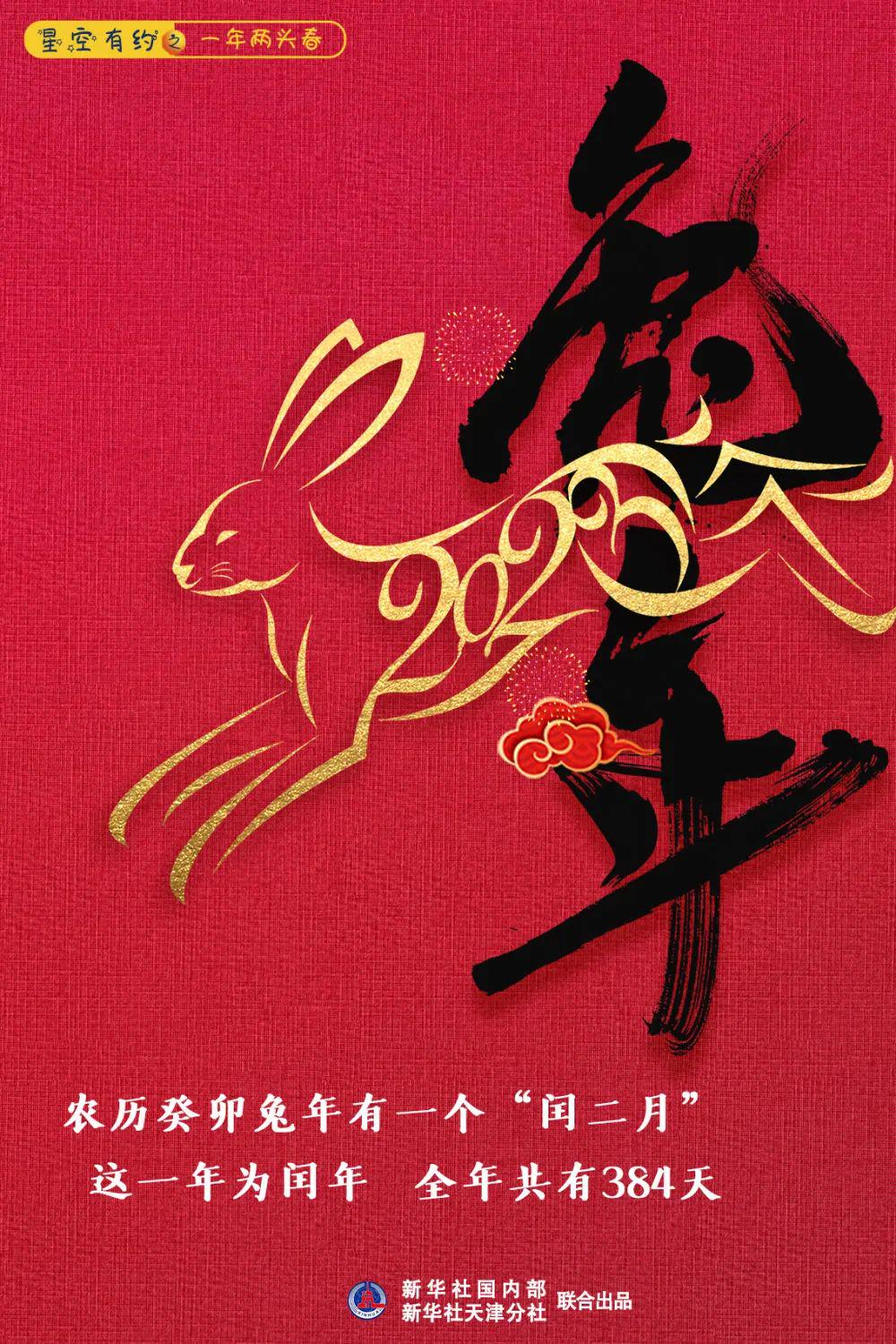 兔年之后，龙腾云起—生肖智慧与战略运用的深度解析