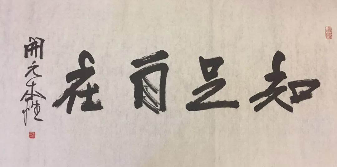 听其自流，生肖智慧与自然法则的深度解析