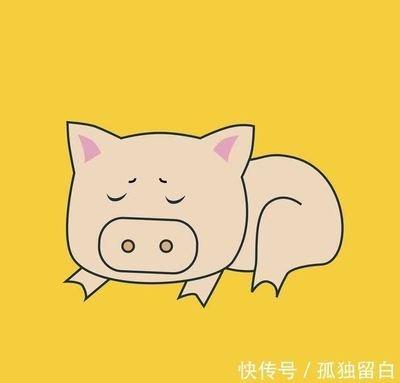 什么生肖最懒，真相解释落实