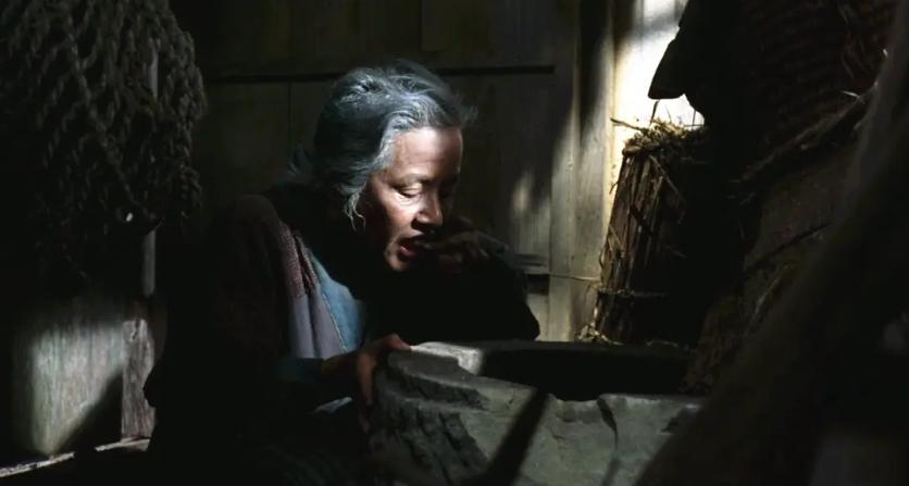 小鸟依人，生肖动物寓言下的社会进步与文化解析