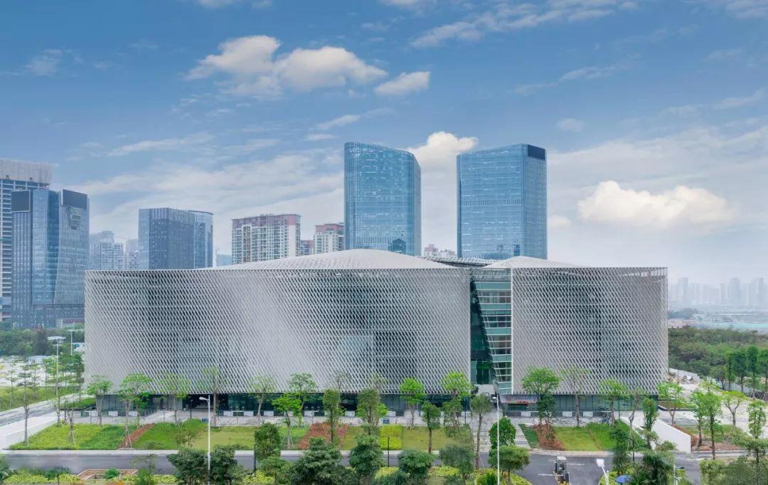 揭秘二三出巢三高翔的生肖谜题，全面解析与文化解读