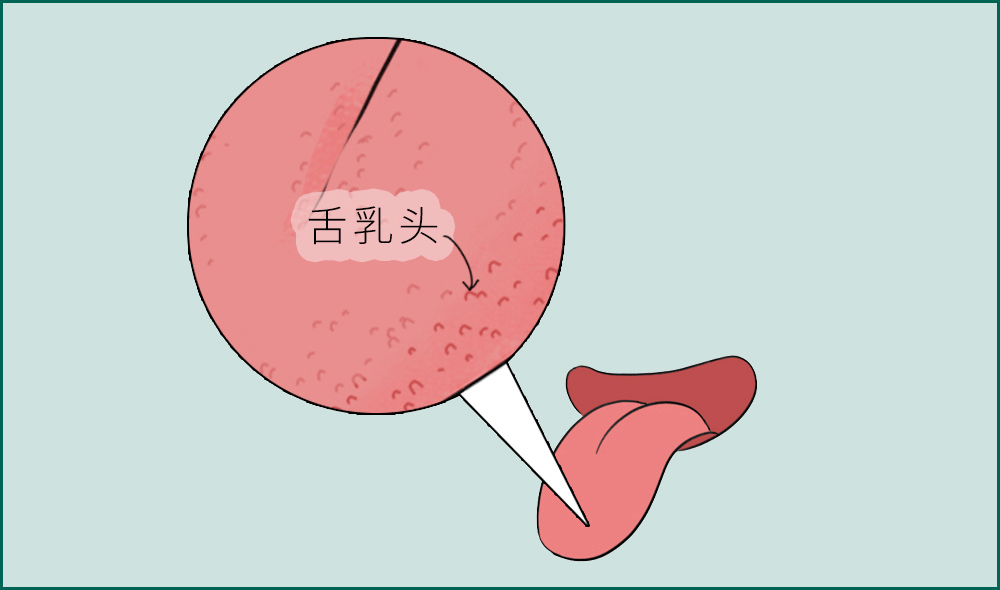 七嘴八舌是指什么生肖?谜底即将揭晓