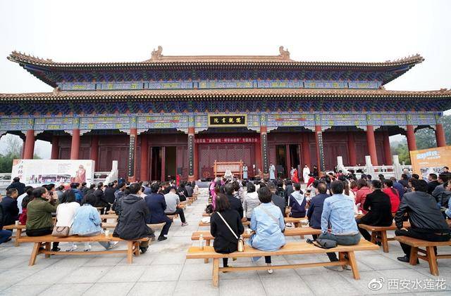 虎的对冲生肖,探寻传统文化的奥秘 虎的对冲生肖,探寻传统文化的奥秘