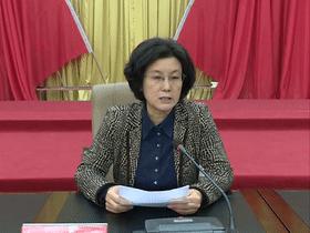 十二生肖的四字词语，深度解析与落实