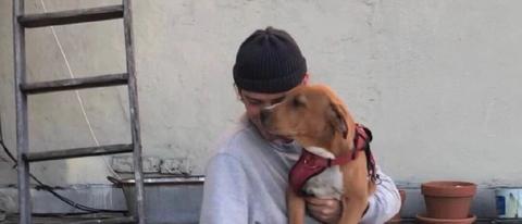 白云苍狗是什么生肖，精选解析与落实的详细结果