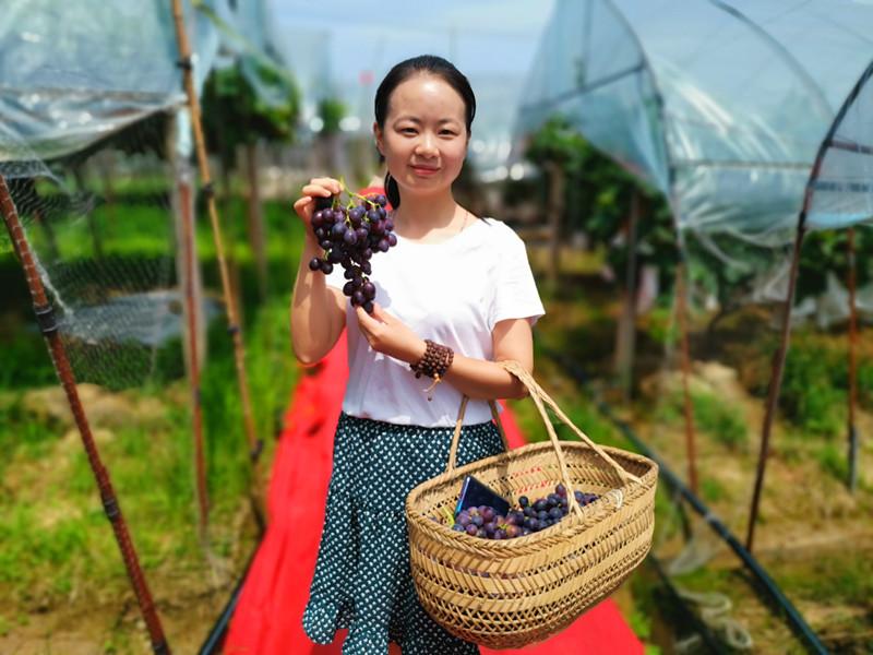 倚马千言猜一生肖，非凡解释落实