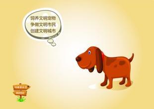 今日玛特开猜一生肖，揭秘背后的文化与智慧