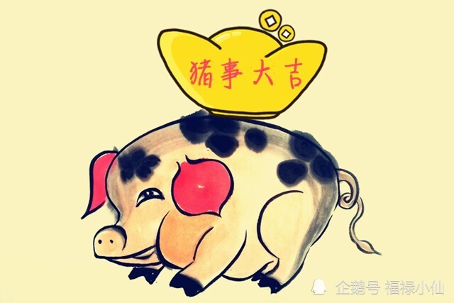 力挽狂澜是什么生肖，正确解释与落实