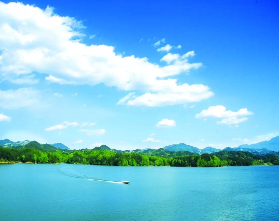 东山再起与生肖的奥秘，成就的背后是坚持不懈的落实