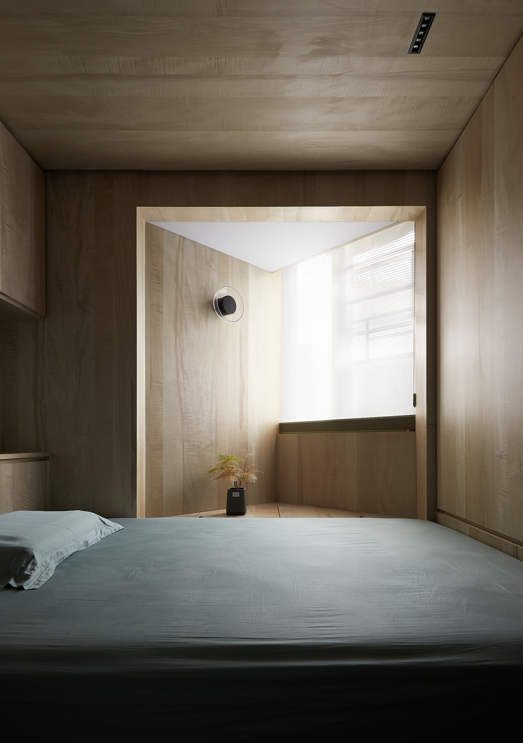 看房间的智慧与积极行动的交响曲—生肖鼠的启示