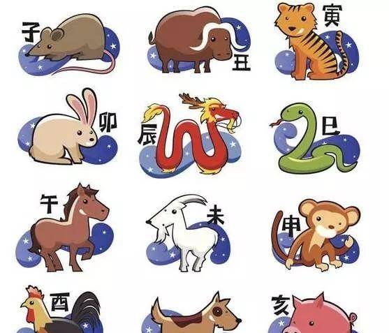 揭秘表里不一的生肖谜底，真相即将浮出水面