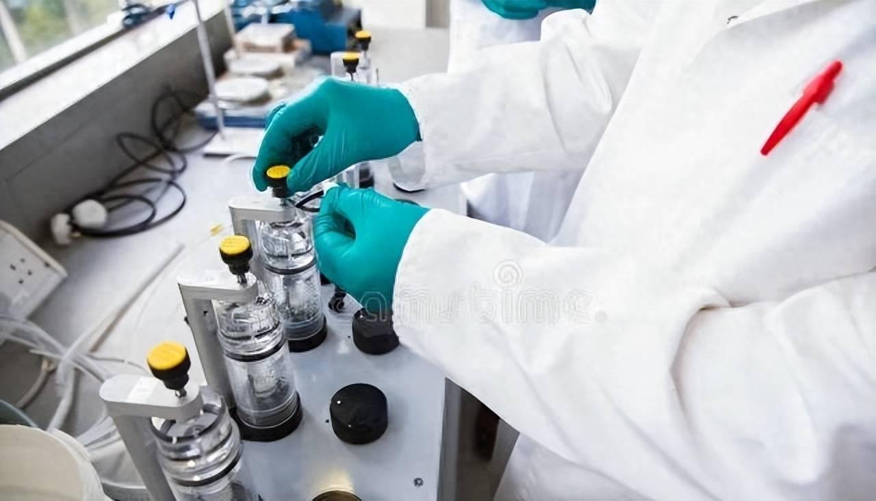 兔死狐悲，生肖之谜的深度解析与文化解读