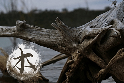 属木的生肖及其文化解读