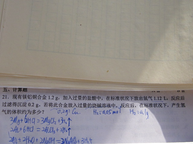 如花似玉打一生肖动物，解析作答落实解释