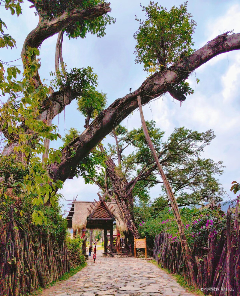 田间动物与生肖的奇妙对应,一次文化与自然的深度对话 田间动物与生肖的奇妙对应,一次文化与自然的深度对话