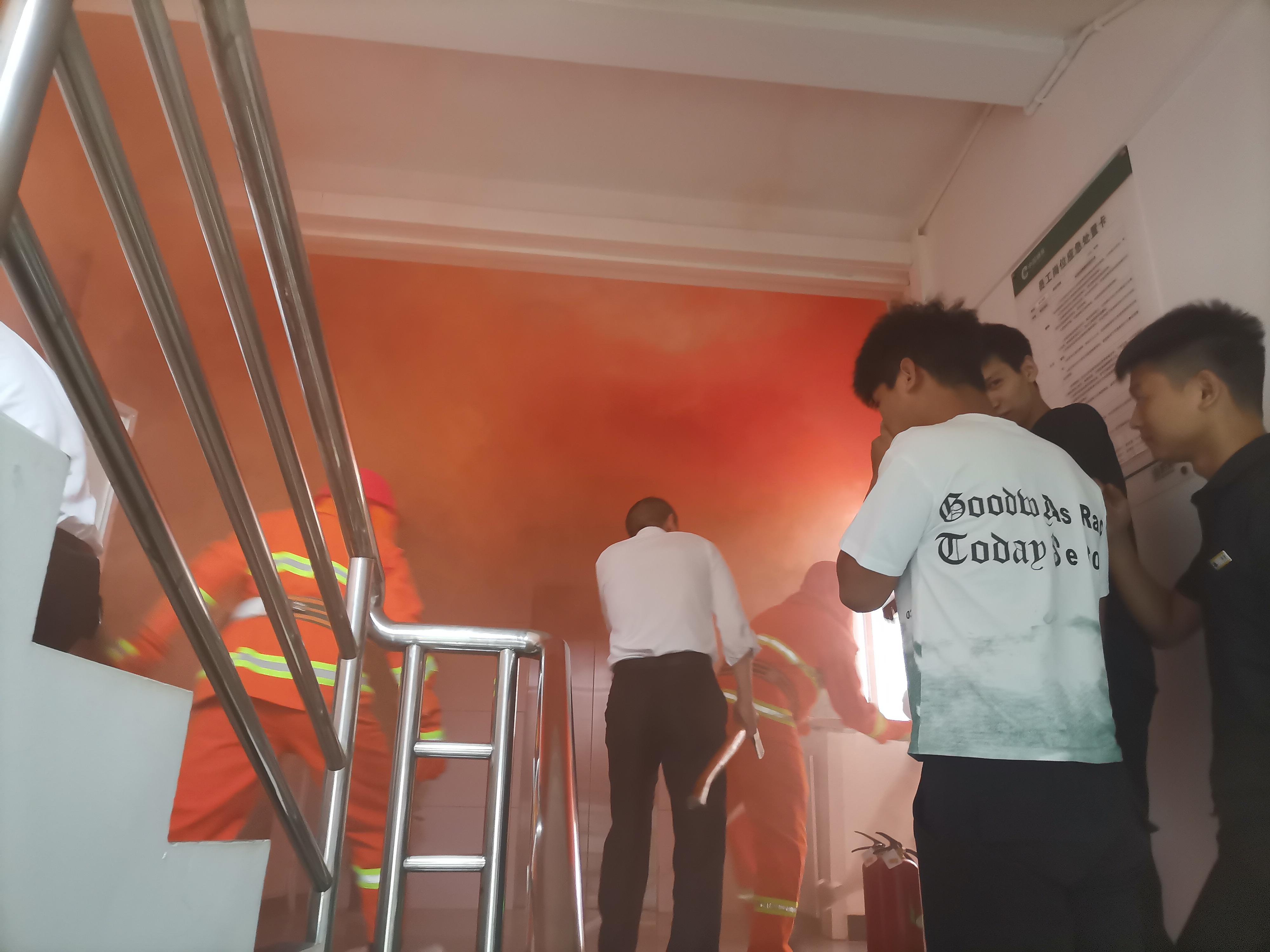 天生却是红屁股打一正确生肖，全面解析与落实