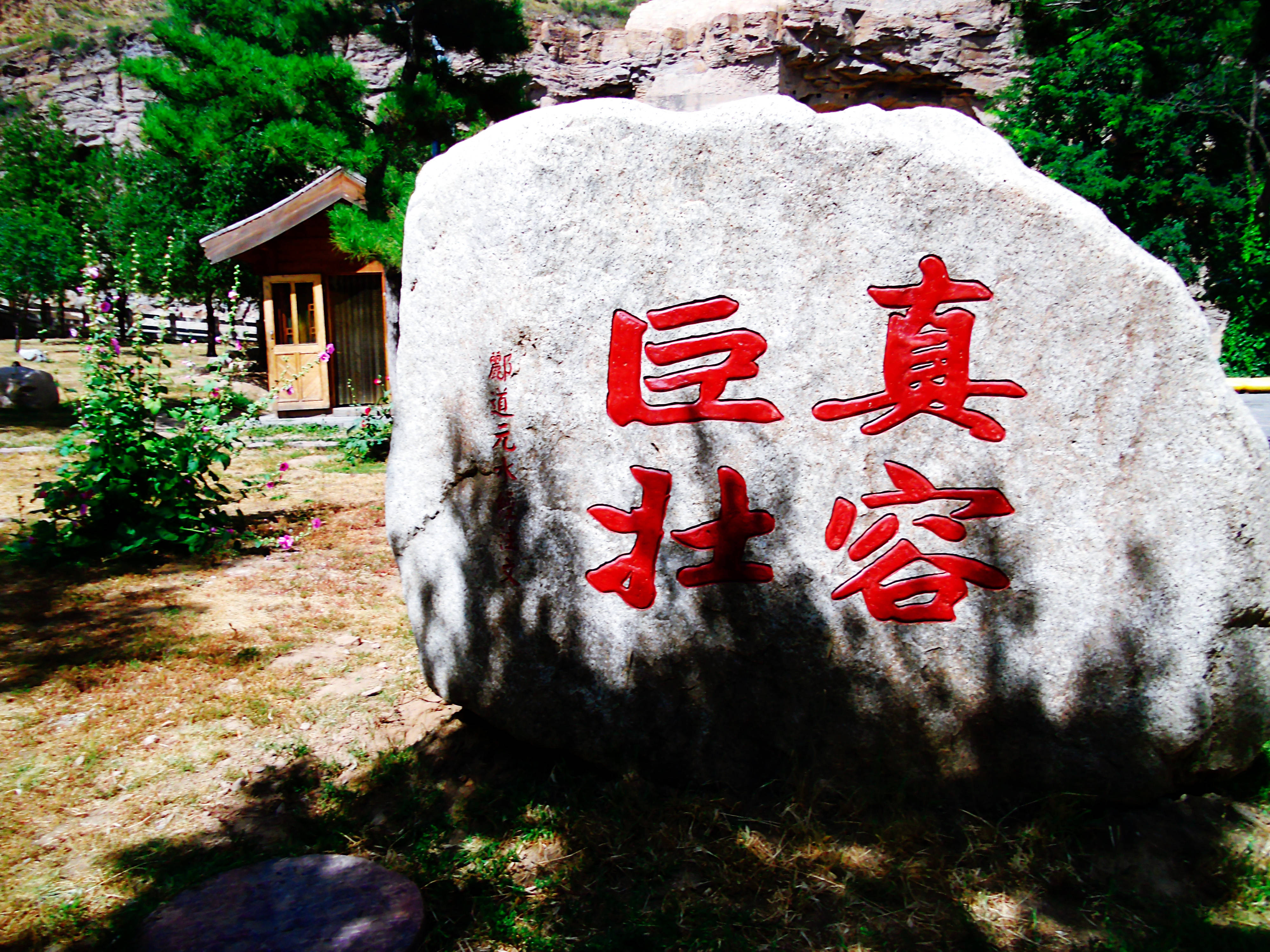 一生多变，西天归处—生肖之谜的温馨解析与文化解答