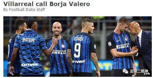 横生枝节猜一动物，深度解析与智慧思考