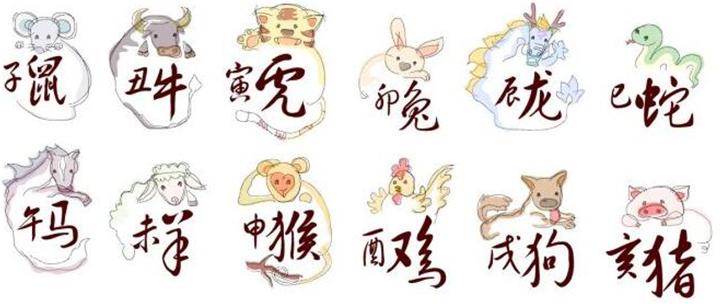 呼风唤雨佳中宫，揭秘生肖之谜与文化寓意