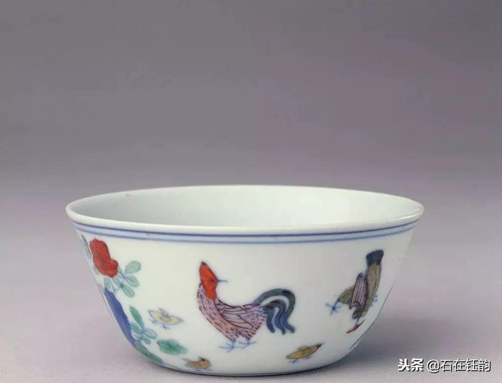 探秘风华正茂背后的动物谜底