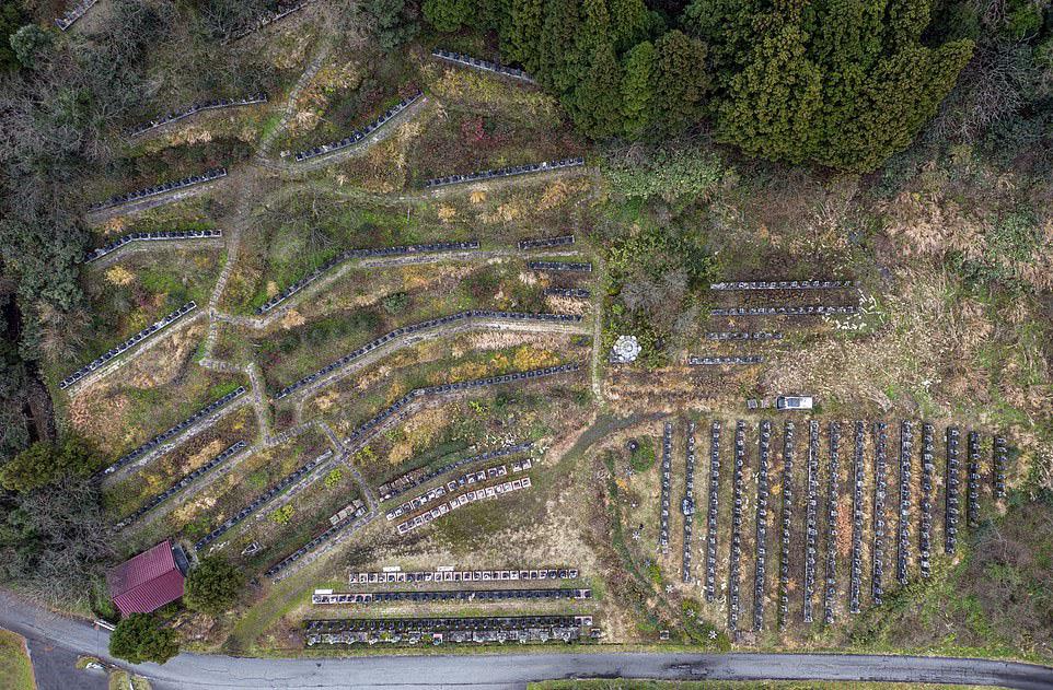 诡异的生肖是什么,激励作答落实解释 诡异的生肖是什么,激励作答落实解释